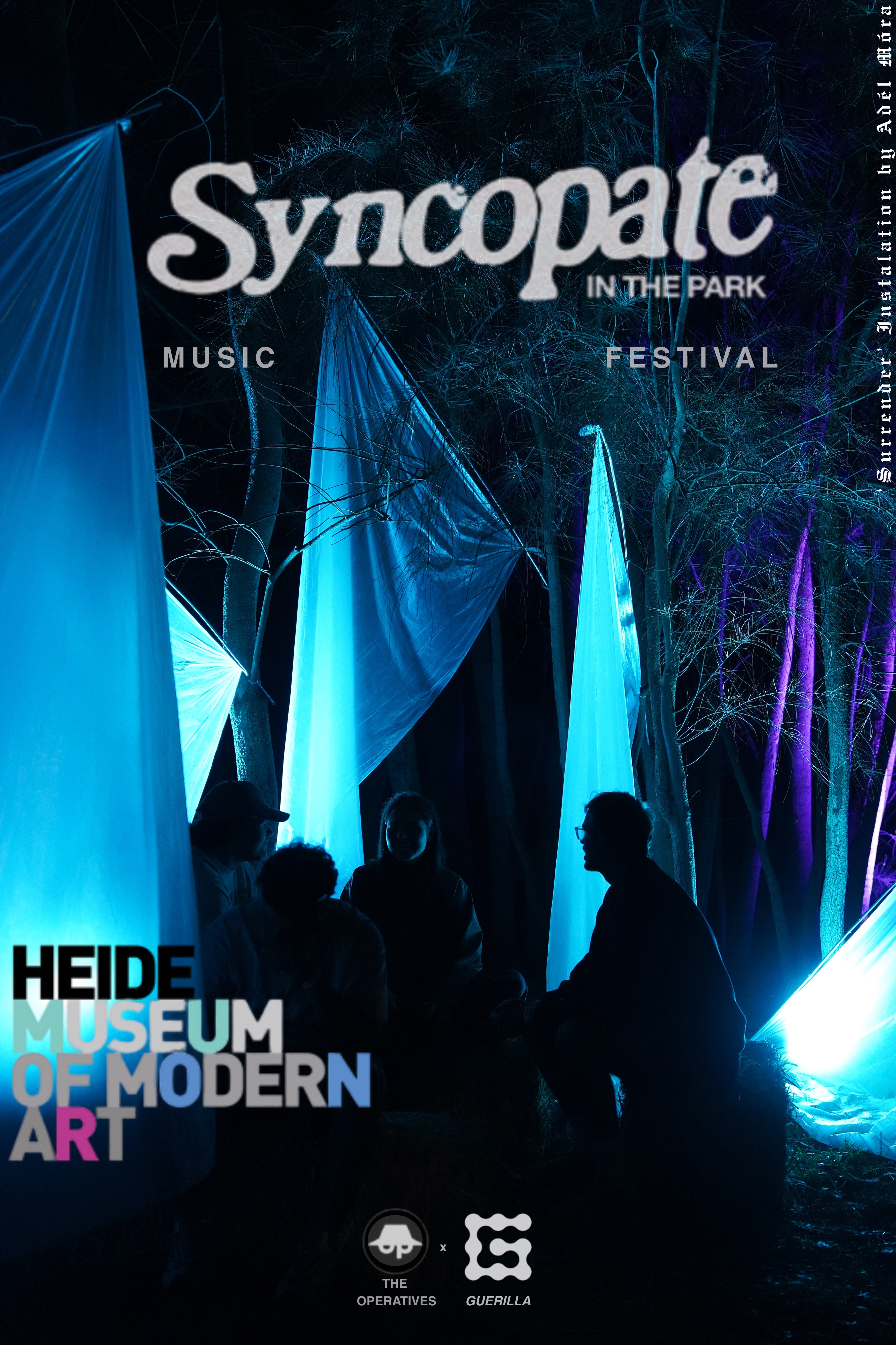 Syncopate Music Festival installation portrait