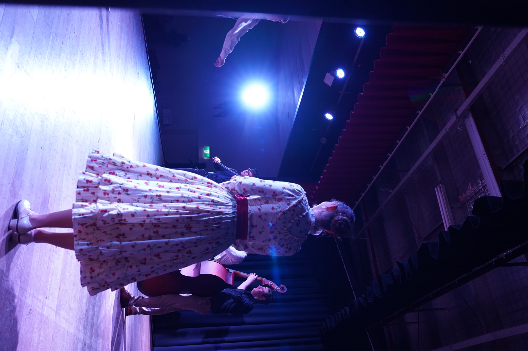 Hungarian Folk Dancers, Melbourne